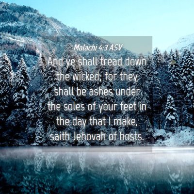 Picture 04 - Malachi 4:3 ASV - And ye shall tread down the wicked; for they - Bible Verse Picture