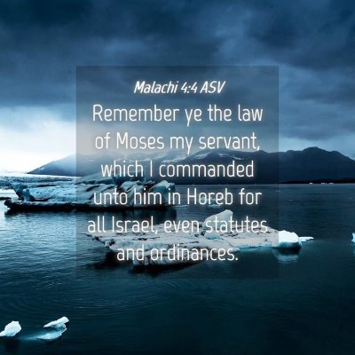 Picture 04 - Malachi 4:4 ASV - Remember ye the law of Moses my servant, which I - Bible Verse Picture
