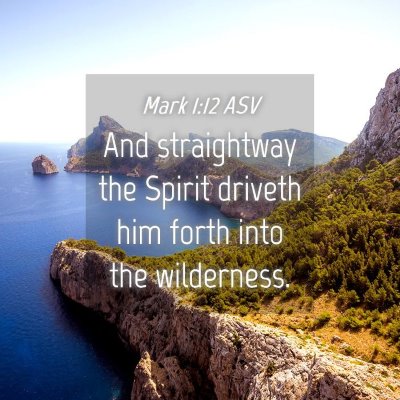 Picture 04 - Mark 1:12 ASV - And straightway the Spirit driveth him forth into - Bible Verse Picture