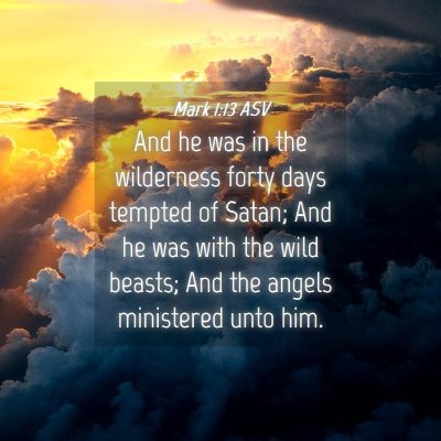 Picture 04 - Mark 1:13 ASV - And he was in the wilderness forty days tempted - Bible Verse Picture