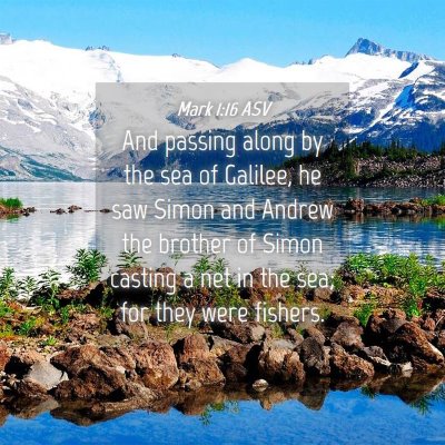 Picture 04 - Mark 1:16 ASV - And passing along by the sea of Galilee, he saw - Bible Verse Picture
