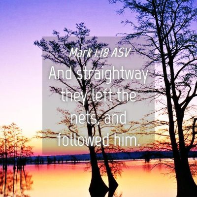 Picture 04 - Mark 1:18 ASV - And straightway they left the nets, and followed - Bible Verse Picture