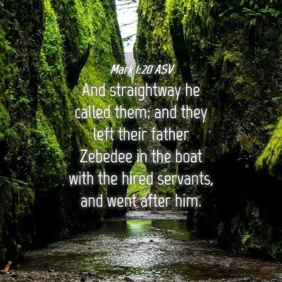 Picture 04 - Mark 1:20 ASV - And straightway he called them: and they left - Bible Verse Picture