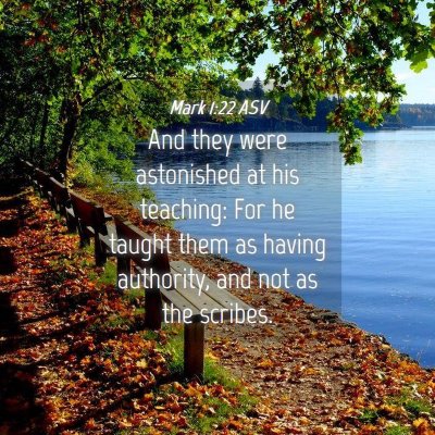 Picture 04 - Mark 1:22 ASV - And they were astonished at his teaching: For he - Bible Verse Picture