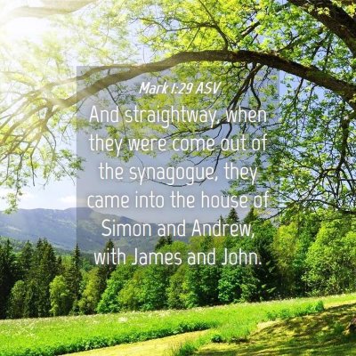 Picture 04 - Mark 1:29 ASV - And straightway, when they were come out of the - Bible Verse Picture