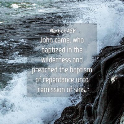 Picture 04 - Mark 1:4 ASV - John came, who baptized in the wilderness and - Bible Verse Picture