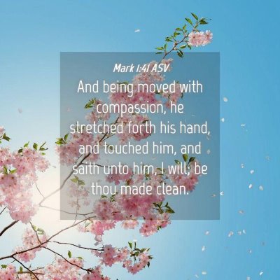 Picture 04 - Mark 1:41 ASV - And being moved with compassion, he stretched - Bible Verse Picture