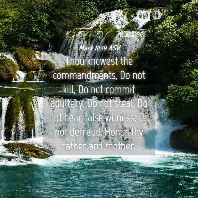 Picture 04 - Mark 10:19 ASV - Thou knowest the commandments, Do not kill, Do - Bible Verse Picture