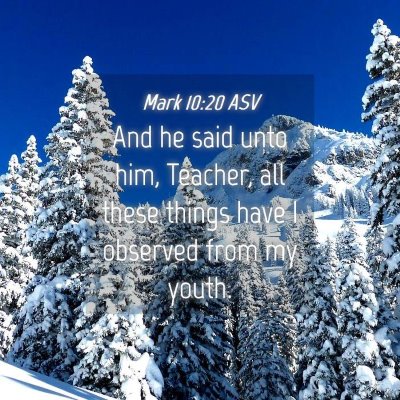 Picture 04 - Mark 10:20 ASV - And he said unto him, Teacher, all these things - Bible Verse Picture