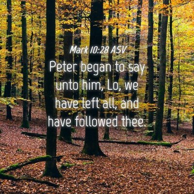 Picture 04 - Mark 10:28 ASV - Peter began to say unto him, Lo, we have left - Bible Verse Picture