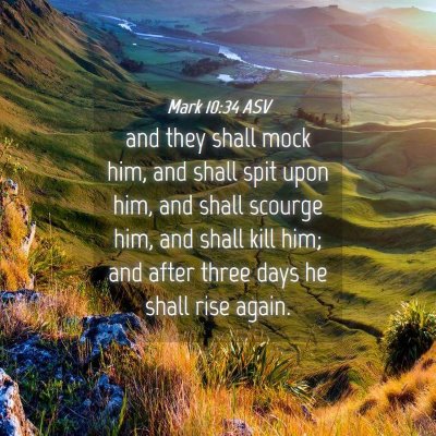 Picture 04 - Mark 10:34 ASV - and they shall mock him, and shall spit upon him, - Bible Verse Picture
