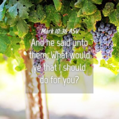 Picture 04 - Mark 10:36 ASV - And he said unto them, What would ye that I - Bible Verse Picture