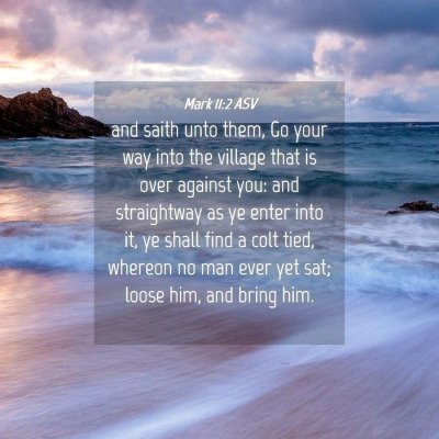 Picture 04 - Mark 11:2 ASV - and saith unto them, Go your way into the village - Bible Verse Picture