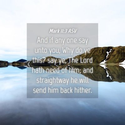 Picture 04 - Mark 11:3 ASV - And if any one say unto you, Why do ye this? say - Bible Verse Picture