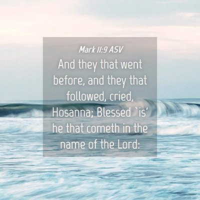 Picture 04 - Mark 11:9 ASV - And they that went before, and they that - Bible Verse Picture
