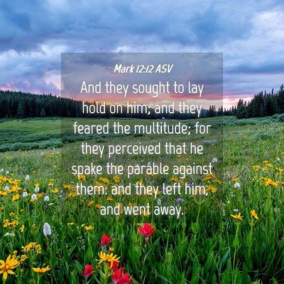 Picture 04 - Mark 12:12 ASV - And they sought to lay hold on him; and they - Bible Verse Picture