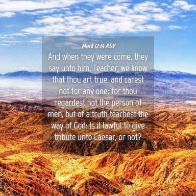 Picture 04 - Mark 12:14 ASV - And when they were come, they say unto him, - Bible Verse Picture