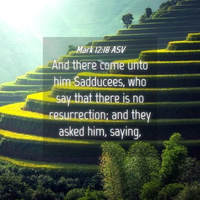 Picture 04 - Mark 12:18 ASV - And there come unto him Sadducees, who say that - Bible Verse Picture