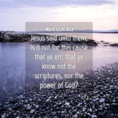 Picture 04 - Mark 12:24 ASV - Jesus said unto them, Is it not for this cause - Bible Verse Picture