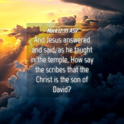 Picture 04 - Mark 12:35 ASV - And Jesus answered and said, as he taught in the - Bible Verse Picture