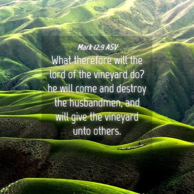 Picture 04 - Mark 12:9 ASV - What therefore will the lord of the vineyard do? - Bible Verse Picture