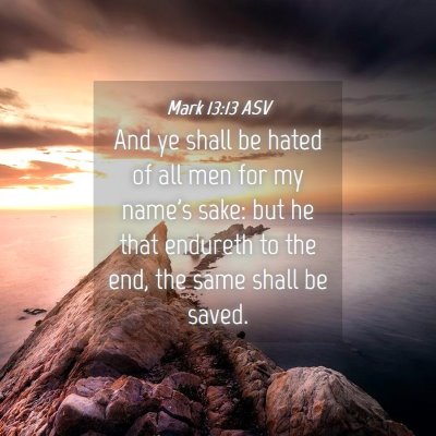 Picture 04 - Mark 13:13 ASV - And ye shall be hated of all men for my name's - Bible Verse Picture