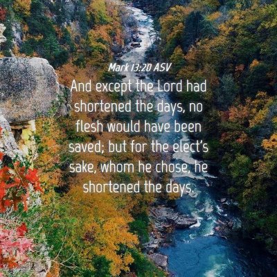 Picture 04 - Mark 13:20 ASV - And except the Lord had shortened the days, no - Bible Verse Picture