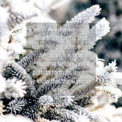 Picture 04 - Mark 13:28 ASV - Now from the fig tree learn her parable: when her - Bible Verse Picture