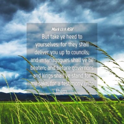Picture 04 - Mark 13:9 ASV - But take ye heed to yourselves: for they shall - Bible Verse Picture