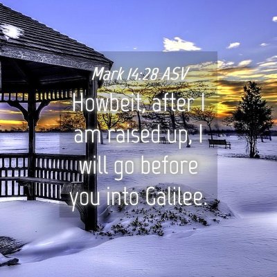 Picture 04 - Mark 14:28 ASV - Howbeit, after I am raised up, I will go before - Bible Verse Picture