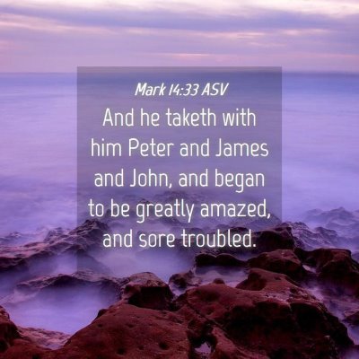 Picture 04 - Mark 14:33 ASV - And he taketh with him Peter and James and John, - Bible Verse Picture