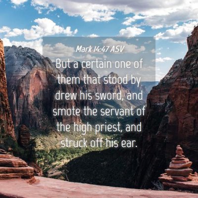 Picture 04 - Mark 14:47 ASV - But a certain one of them that stood by drew his - Bible Verse Picture