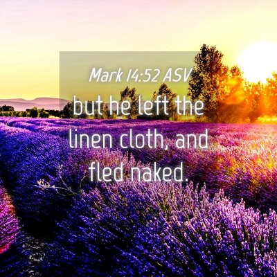Picture 04 - Mark 14:52 ASV - but he left the linen cloth, and fled - Bible Verse Picture