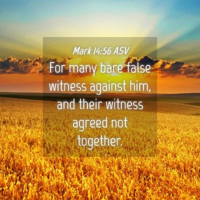 Picture 04 - Mark 14:56 ASV - For many bare false witness against him, and - Bible Verse Picture