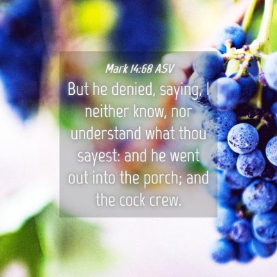 Picture 04 - Mark 14:68 ASV - But he denied, saying, I neither know, nor - Bible Verse Picture