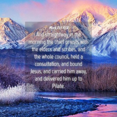 Picture 04 - Mark 15:1 ASV - And straightway in the morning the chief priests - Bible Verse Picture