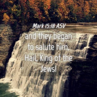 Picture 04 - Mark 15:18 ASV - and they began to salute him, Hail, King of the - Bible Verse Picture