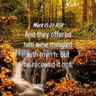 Picture 04 - Mark 15:23 ASV - And they offered him wine mingled with myrrh: but - Bible Verse Picture