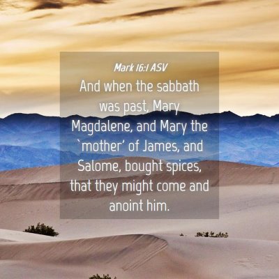 Picture 04 - Mark 16:1 ASV - And when the sabbath was past, Mary Magdalene, - Bible Verse Picture