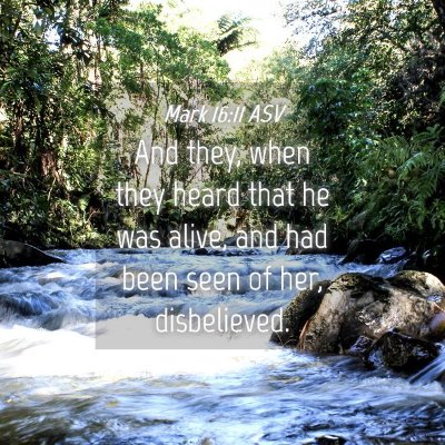 Picture 04 - Mark 16:11 ASV - And they, when they heard that he was alive, and - Bible Verse Picture