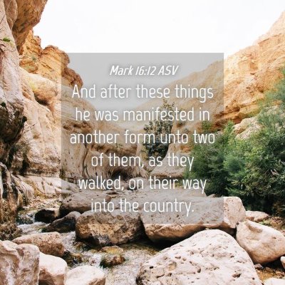 Picture 04 - Mark 16:12 ASV - And after these things he was manifested in - Bible Verse Picture