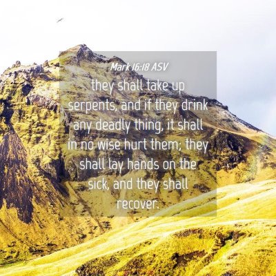 Picture 04 - Mark 16:18 ASV - they shall take up serpents, and if they drink - Bible Verse Picture