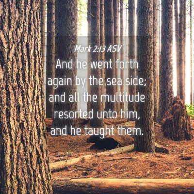 Picture 04 - Mark 2:13 ASV - And he went forth again by the sea side; and all - Bible Verse Picture