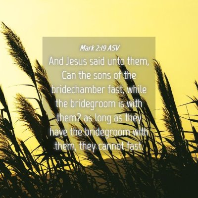 Picture 04 - Mark 2:19 ASV - And Jesus said unto them, Can the sons of the - Bible Verse Picture
