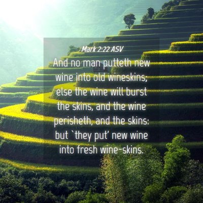 Picture 04 - Mark 2:22 ASV - And no man putteth new wine into old wineskins; - Bible Verse Picture