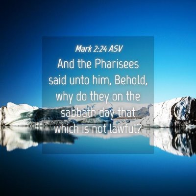 Picture 04 - Mark 2:24 ASV - And the Pharisees said unto him, Behold, why do - Bible Verse Picture