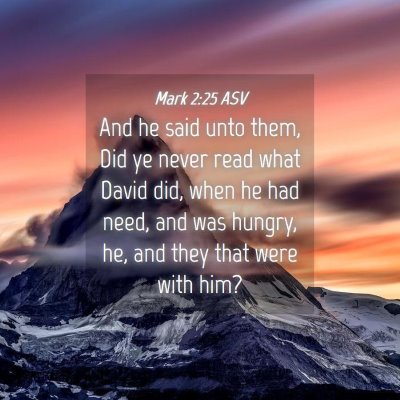 Picture 04 - Mark 2:25 ASV - And he said unto them, Did ye never read what - Bible Verse Picture