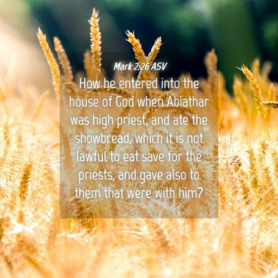Picture 04 - Mark 2:26 ASV - How he entered into the house of God when - Bible Verse Picture