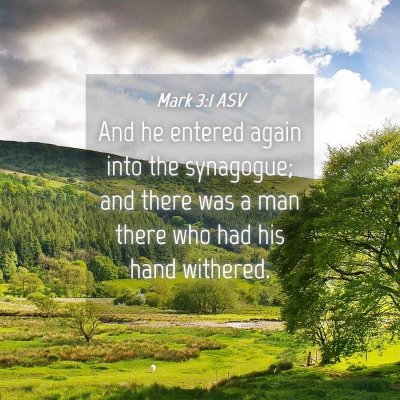 Picture 04 - Mark 3:1 ASV - And he entered again into the synagogue; and - Bible Verse Picture