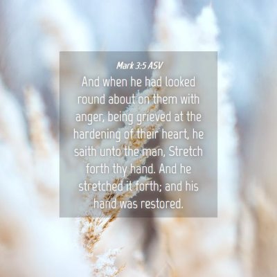 Picture 04 - Mark 3:5 ASV - And when he had looked round about on them with - Bible Verse Picture